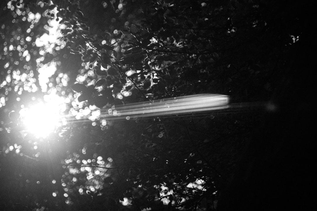 the sun shines brightly through the branches of a tree