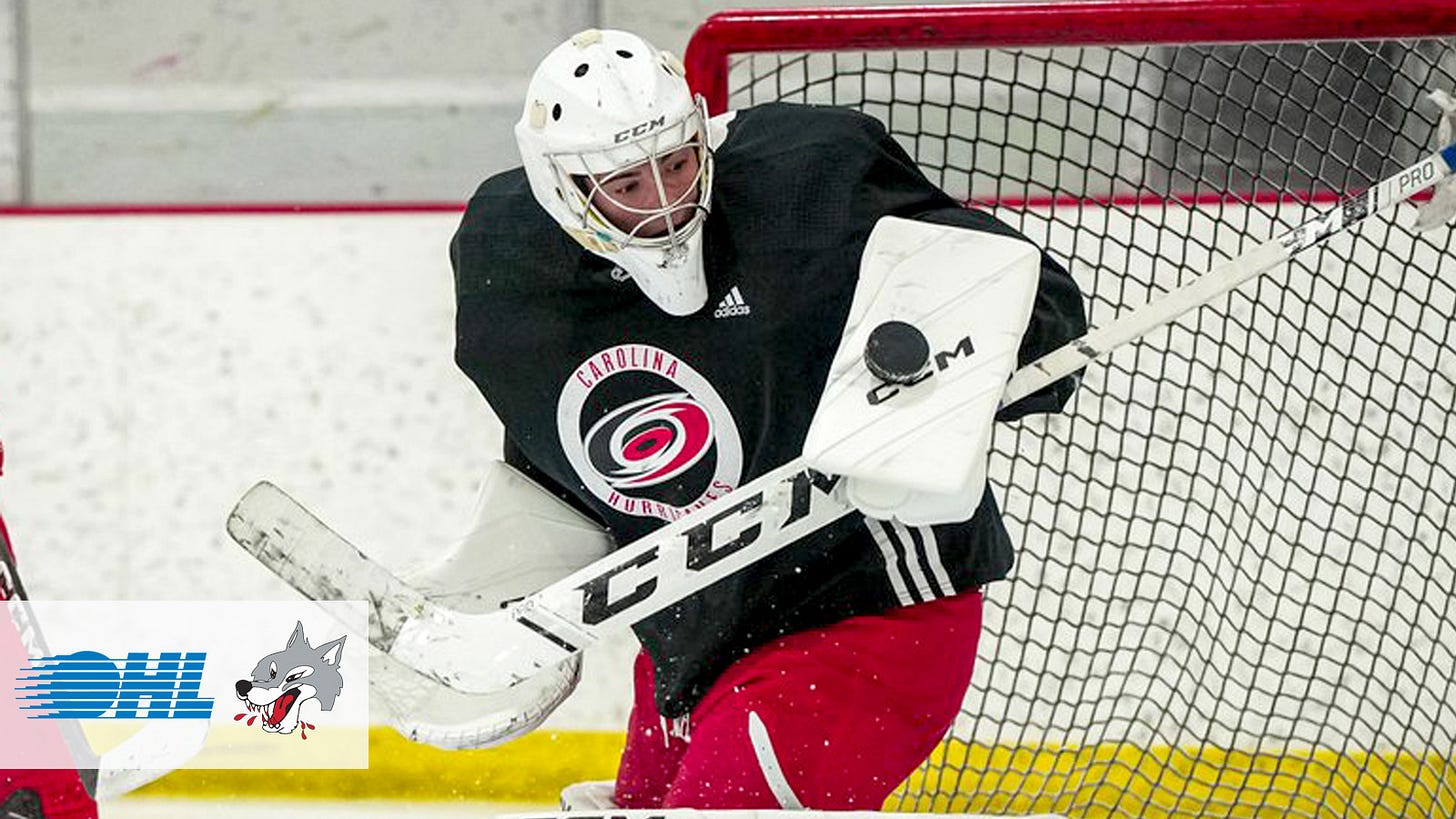 Hurricanes prospect Jakub Vondras commits to Wolves - Ontario Hockey League