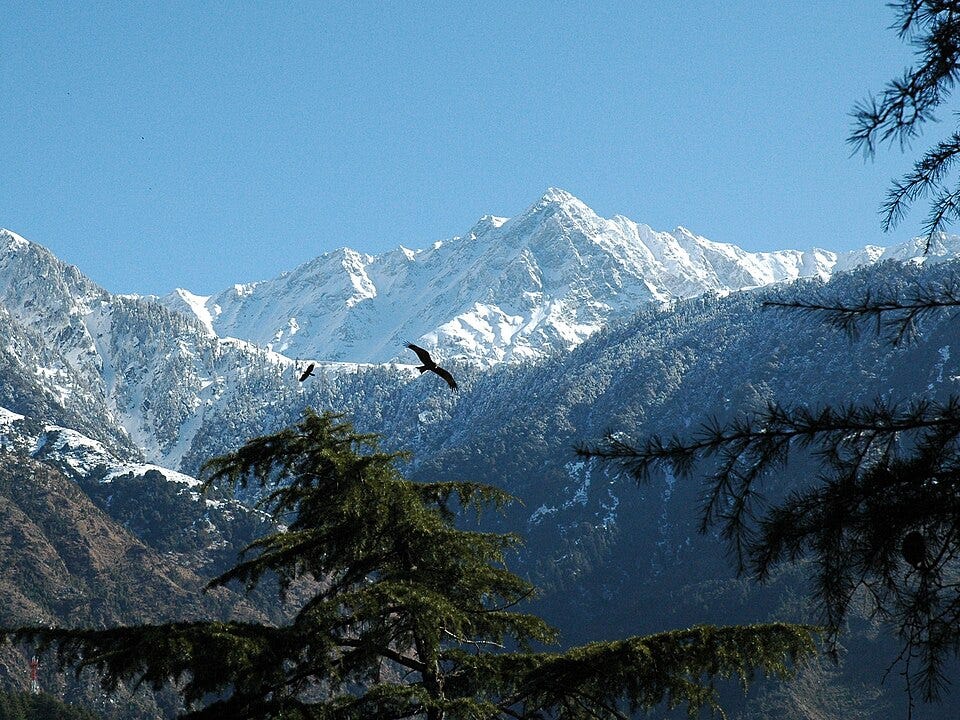 文件:Dhauladhars Eagles.JPG 文件:Dhauladhars Eagles.JPG
