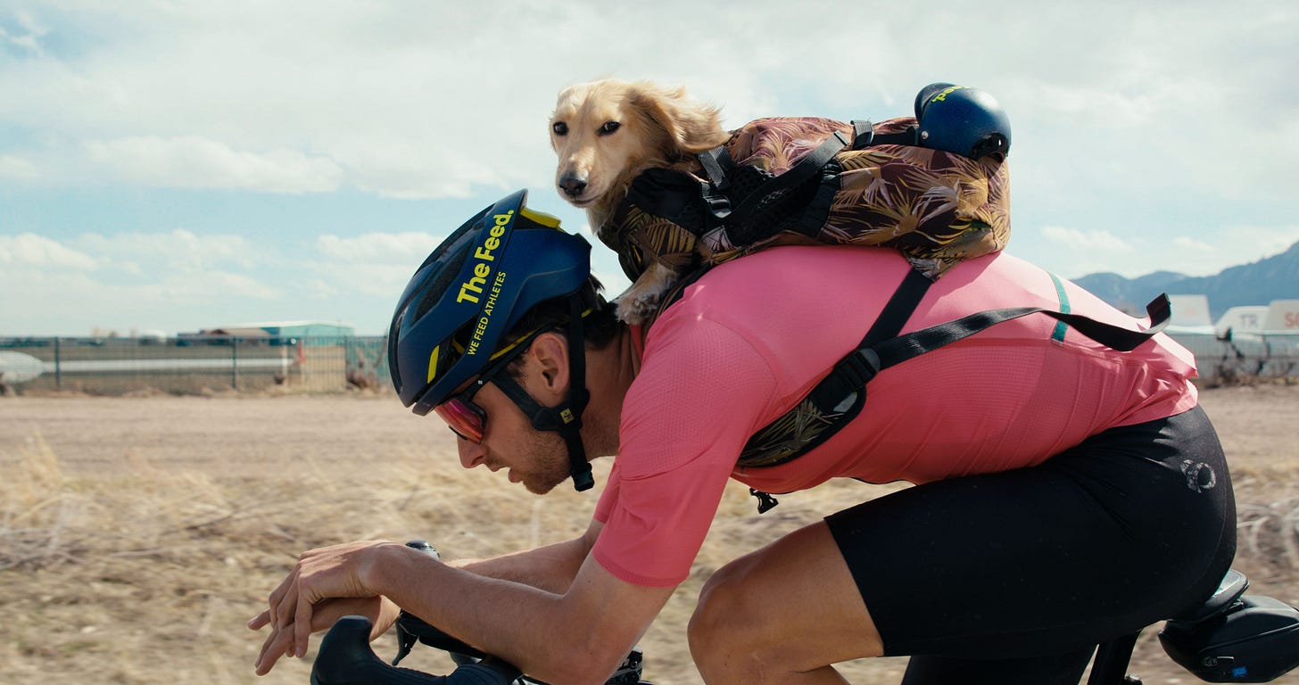 Meet Sir Willie the Bike-Riding Dachshund and "Fastest Known Dog"