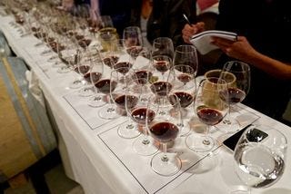 Cellar, what we tasted Cellar, what we tasted