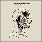 The Myofascial Genesis of Pain: PART ONE