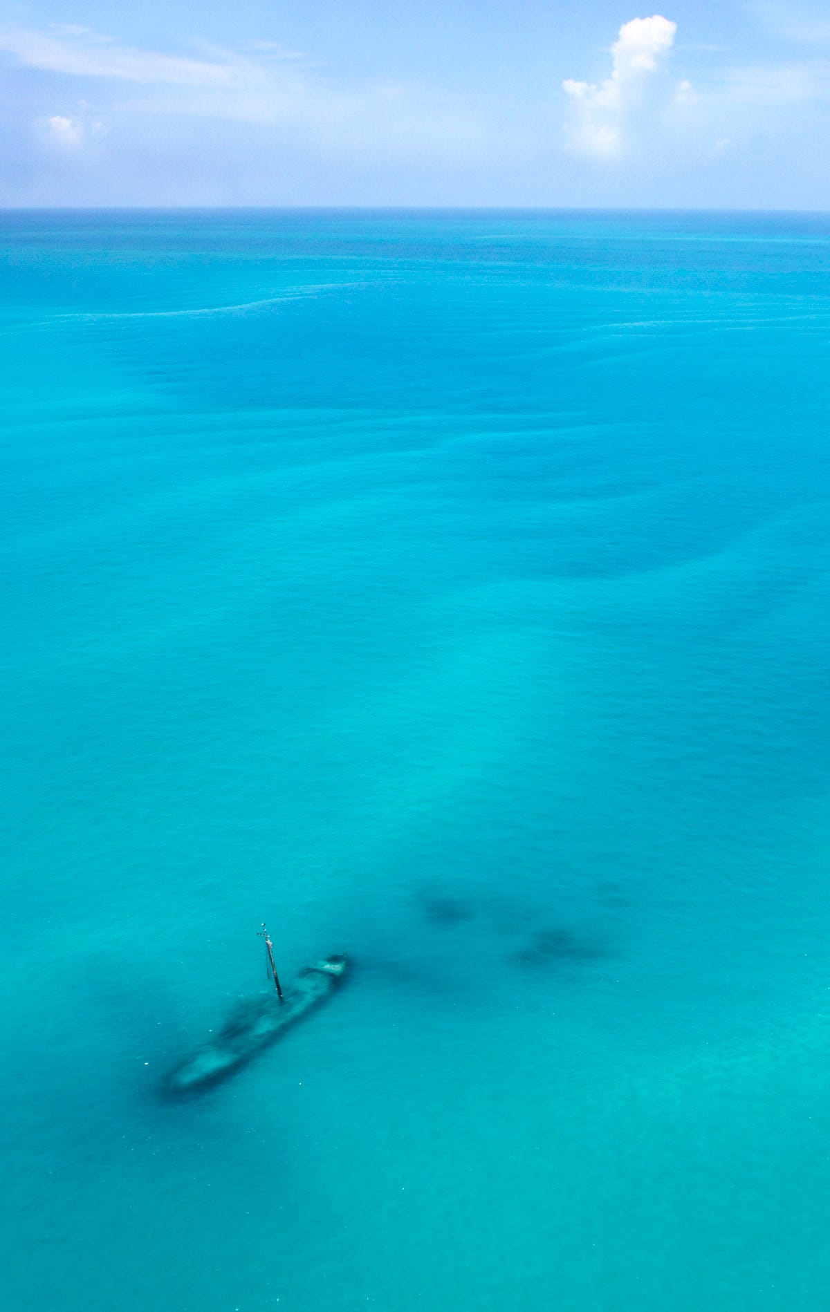 #florida from tropic havens