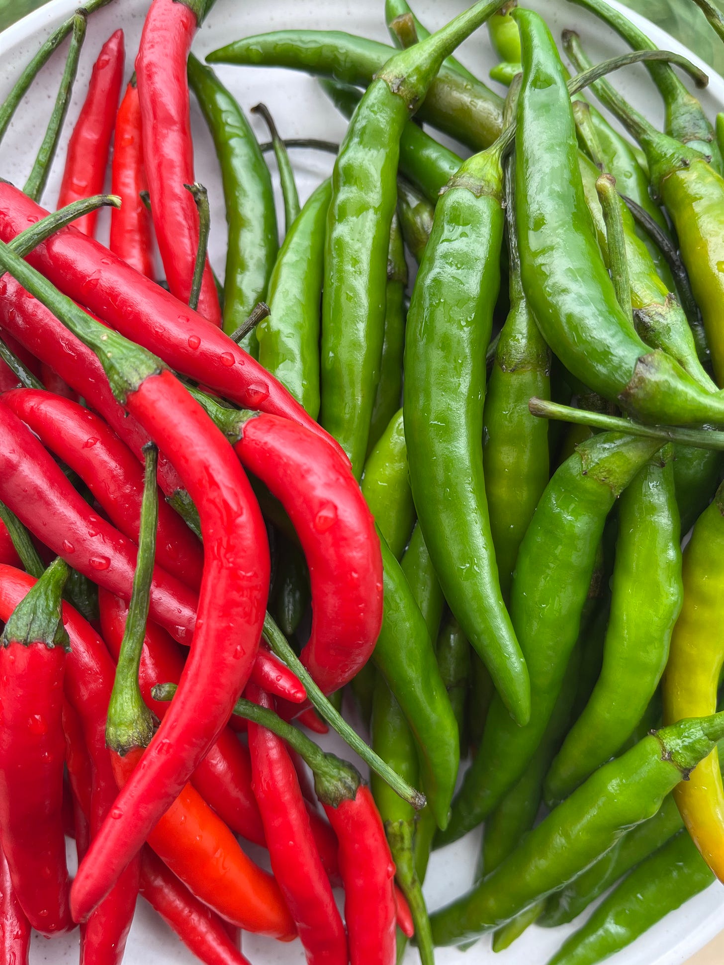 a plate with red and green bird's eye chillies on top.