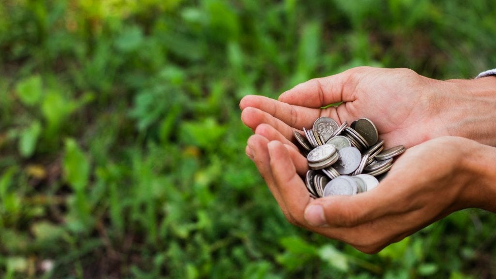 Grow Indigo Carbon Payouts Reach Punjab Farmers
