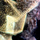 Tissue hydrogels discovered in the blood