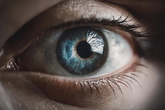 The realistic closeup of the human eyeball showed intricate details of cataracts, resulting in a cloudy and opaque texture that affects vision. Understanding this medical condition is crucial for maintaining eye health.