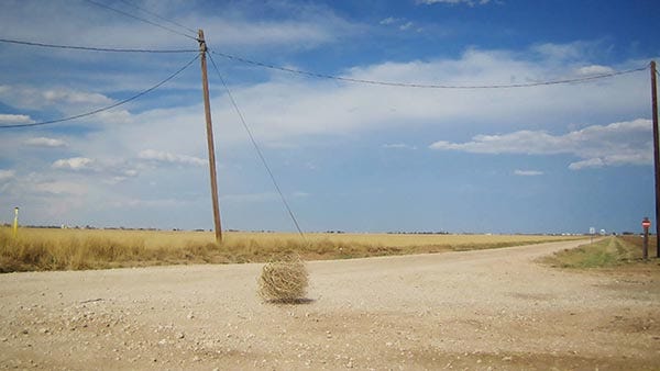 Tumbleweed on a dusty road