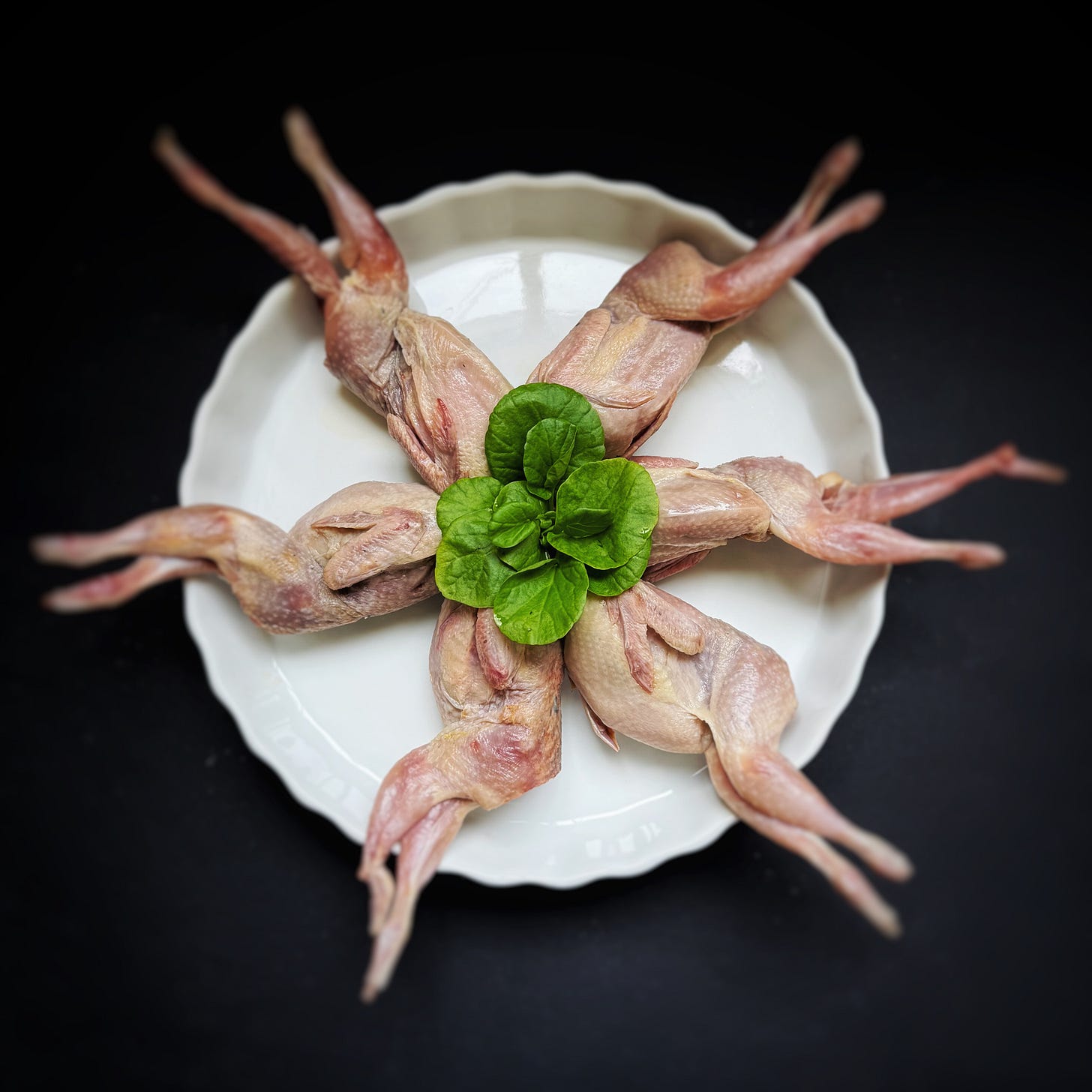 Six quail with legs daintily crossed and arranged on a while plate to look like a pinwheel. 