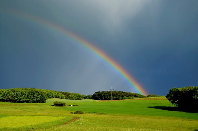 A rainbow stretches across a sky dark with stormclouds. Below is farmland surrounded by trees. A rainbow stretches across a sky dark with stormclouds. Below is farmland surrounded by trees.