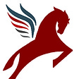 PEGASUS Institute's avatar