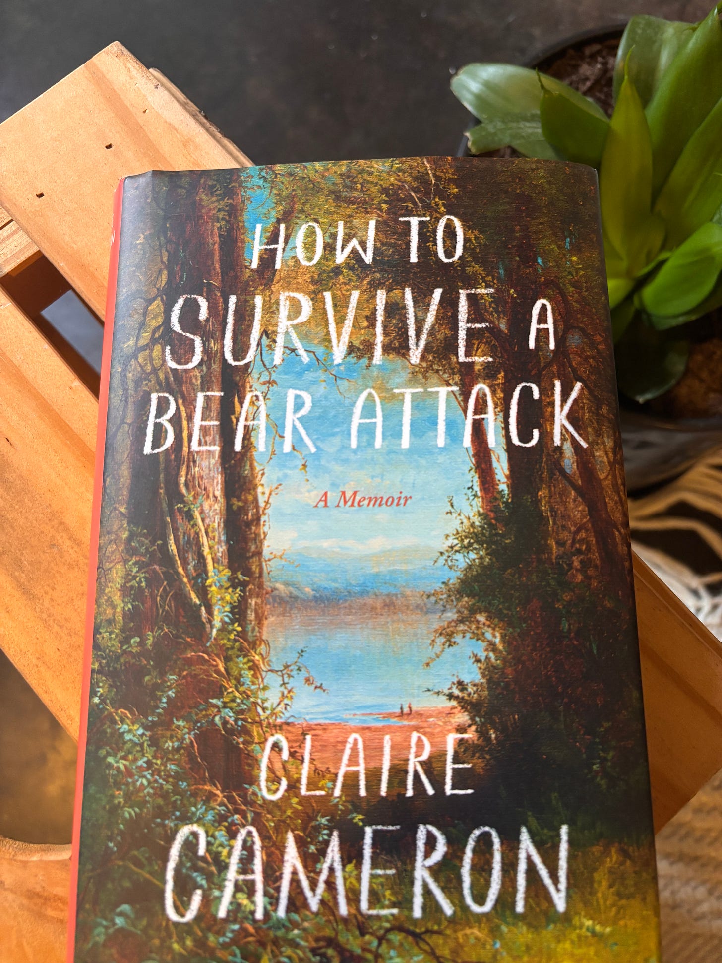 The novel How to Survive a Bear Attack by Claire Cameron