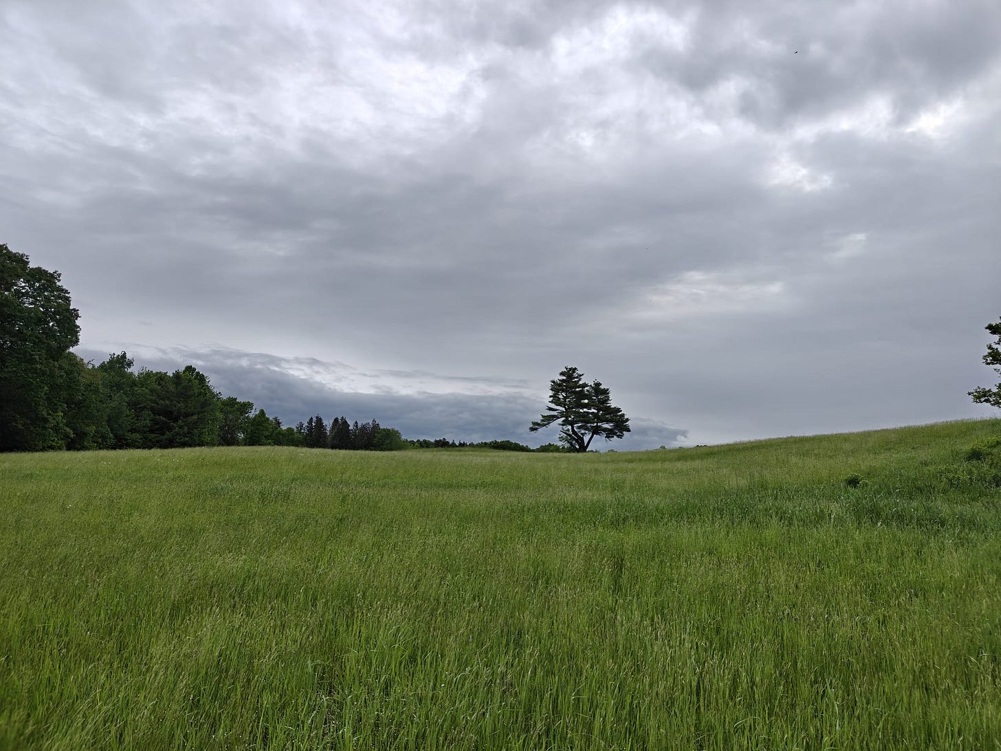 A Trek Along the Cocheco Railroad