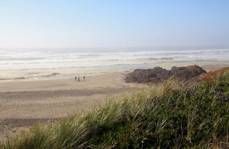 A beach with grass and rocks

AI-generated content may be incorrect.