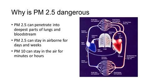 Particle Pollution Effects