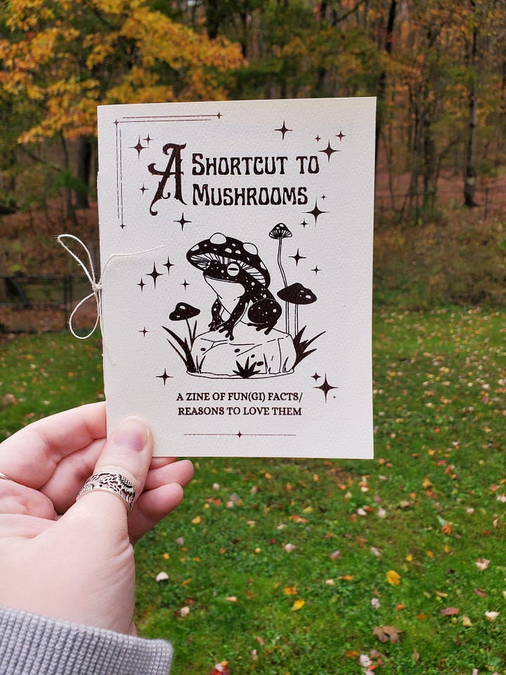 The two photos show the different versions of the cover. On the first is a Hobbity font and picture of of amanita muscaria/fly agaric mushrooms. On the second is a more whimsical font and a photo of a frog wearing a mushroom cap with some stars around it. 