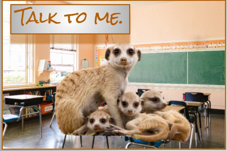 litmagnews.substack.com - Becky Tuch - Q: Do good publishing credentials make good teachers?