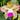Janet  Woodworth's avatar
