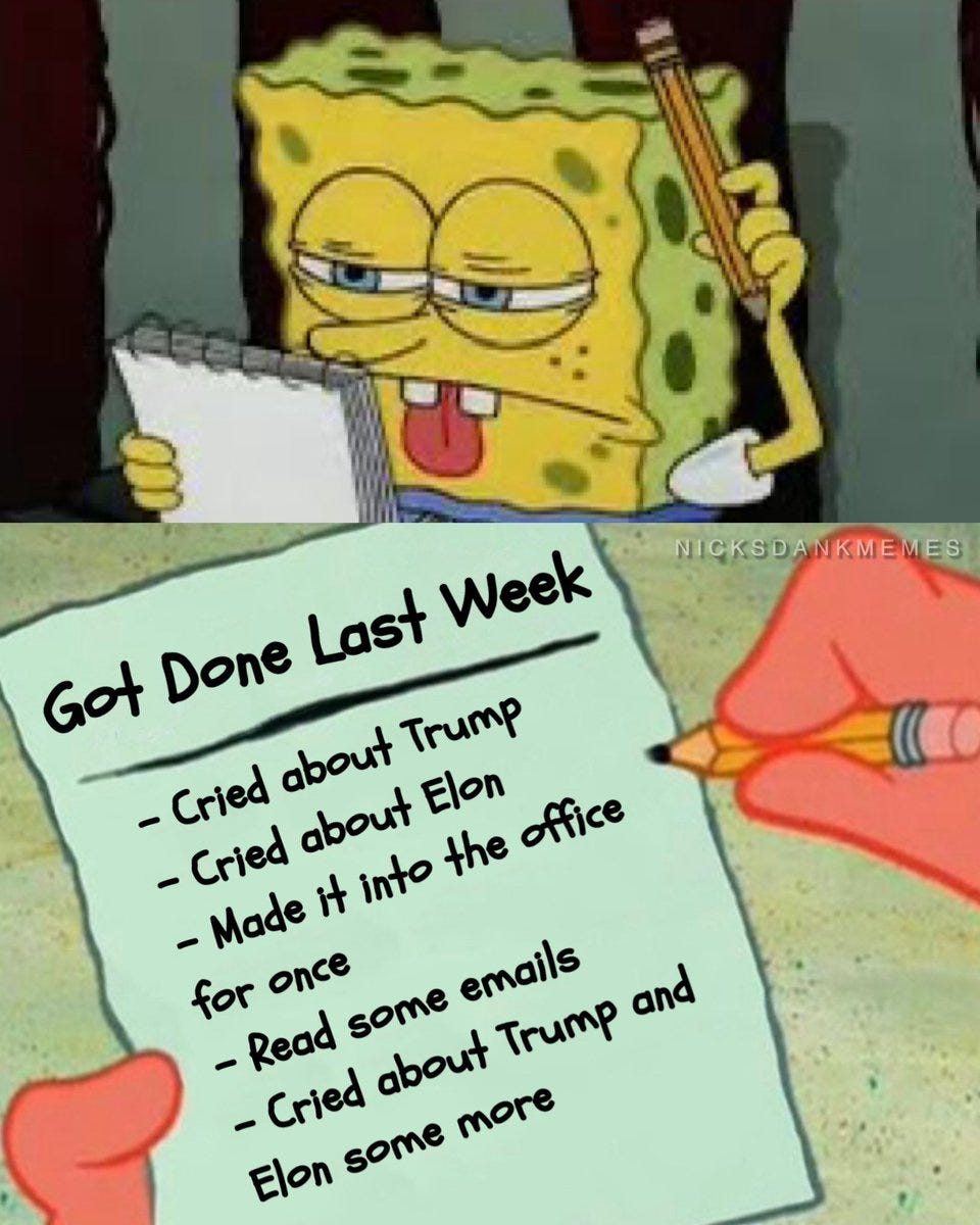 Got done last week: Cried about Trump, cried about Elon, Made it into the office for once, read some emails, cried about Trump and Elon some more. Got done last week: Cried about Trump, cried about Elon, Made it into the office for once, read some emails, cried about Trump and Elon some more.