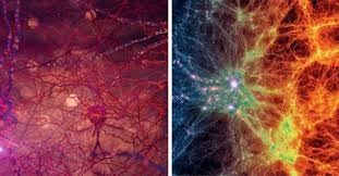 Neural Network & Cosmic Web – Theoscience.org