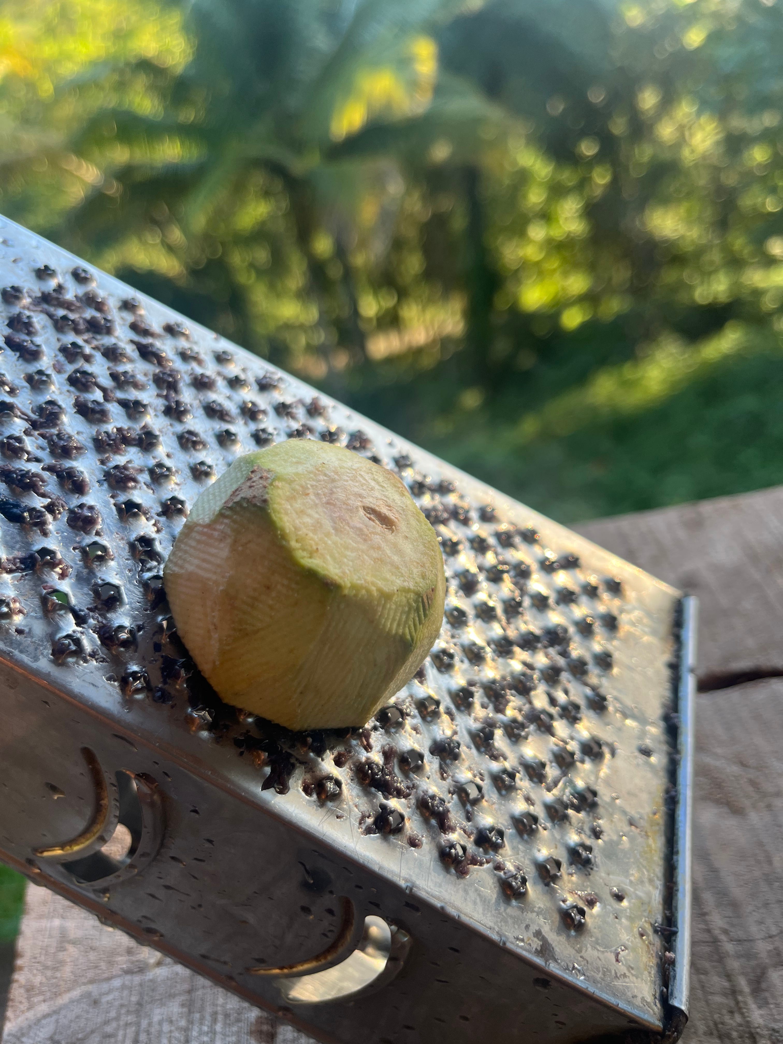 Botanical Musings on the Jagua Tree (Part Two)