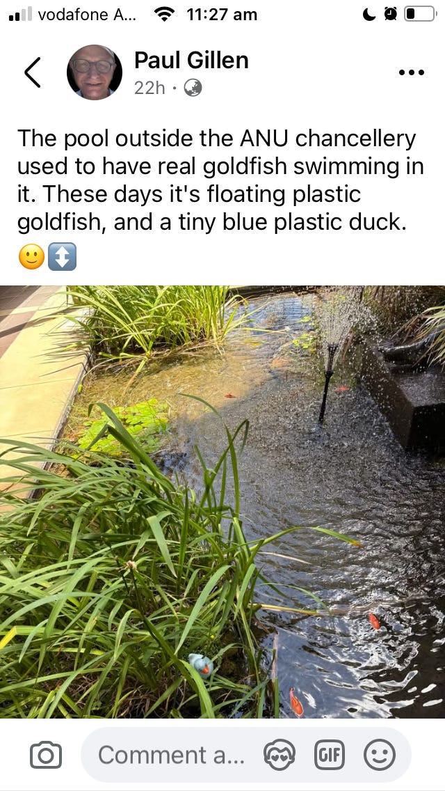 social media pic of pond from Paul Gillen