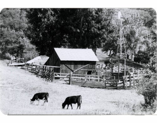 Hidden Ranch, Black Star Canyon, Calif. 1984
