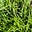 Pul DaWeeds's avatar