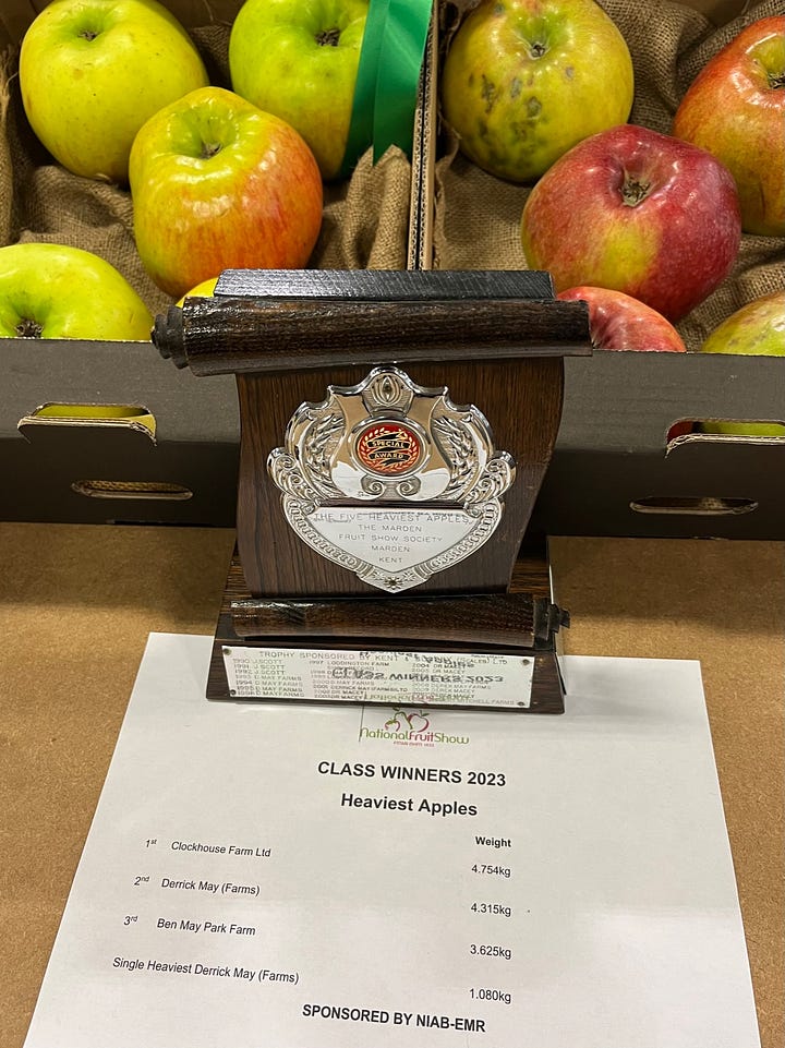 Tables of shiny red apples alongside cups and medals for the winners