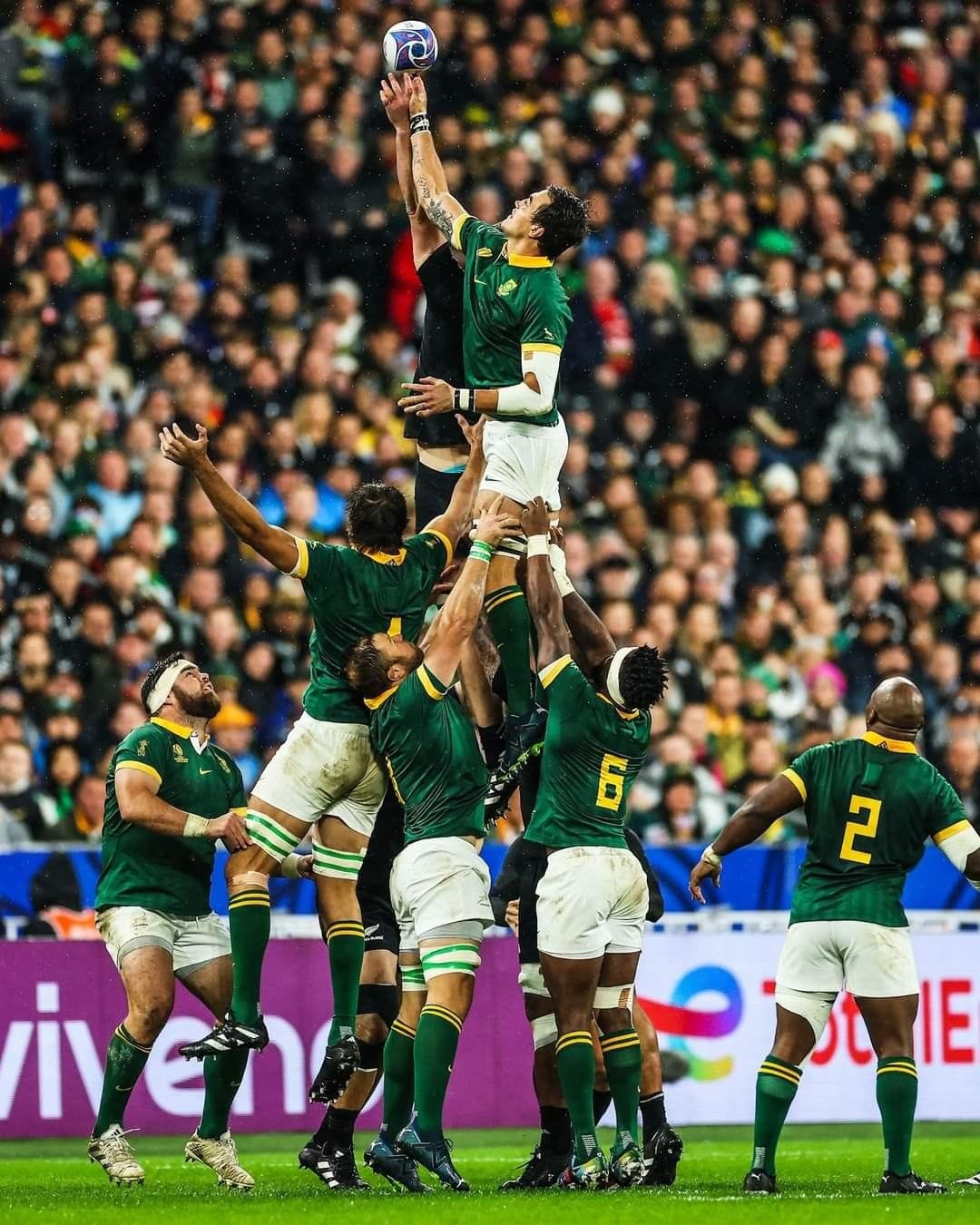 Discover 10 Springbok rugby and springboks wallpaper rugby ideas | springbok rugby wallpaper, springboks rugby south africa wallpaper, springboks wallpaper and more Discover 10 Springbok rugby and springboks wallpaper rugby ideas | springbok rugby wallpaper, springboks rugby south africa wallpaper, springboks wallpaper and more