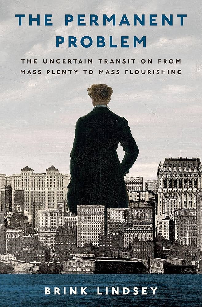 The Permanent Problem: The Uncertain Transition from Mass Plenty to Mass  Flourishing: Lindsey, Brink: 9780197803967: Amazon.com: Books