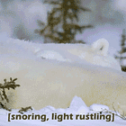 36 Interesting Facts About Hotels That Aren’t Just Gross! Tabs, Tues., Jan. 23, 2024