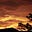 AZ Snap Schotts's avatar