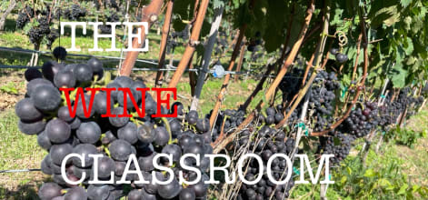 The Wine Classroom