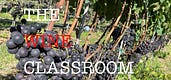The Wine Classroom