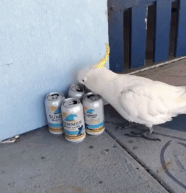 Sonnet for "King Beer"