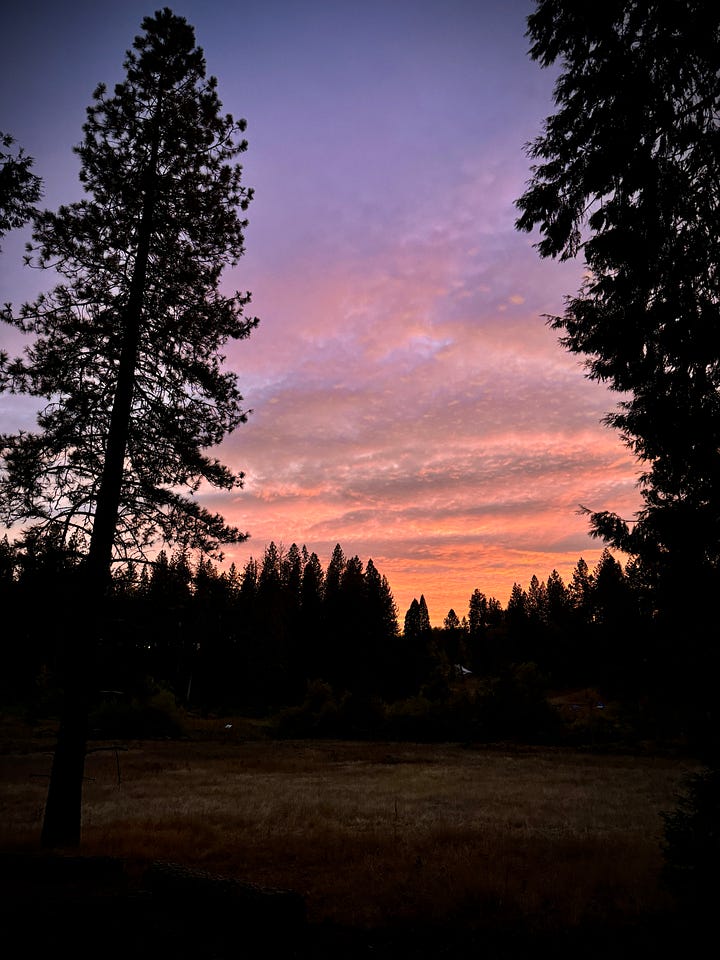 Sunset