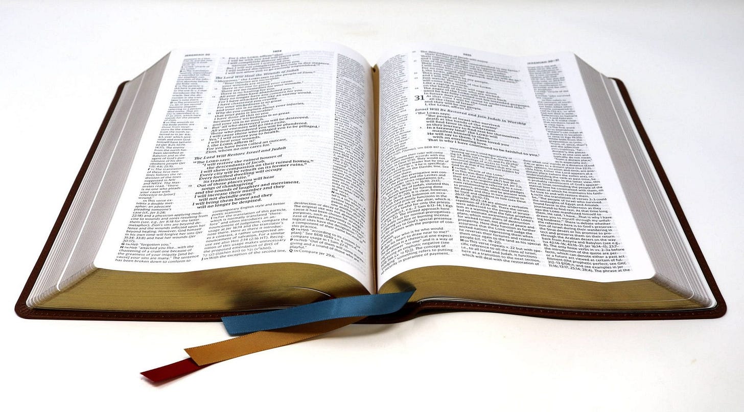 NET Bible Full Notes Edition from Thomas Nelson (Review)