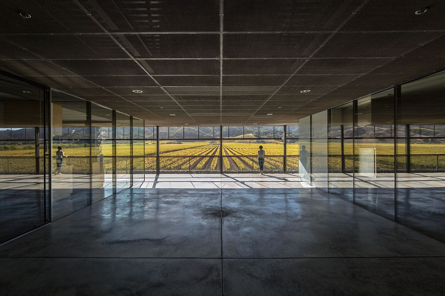 Inside Dominus Estate Winery