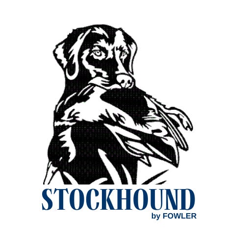 Substack profile picture for @fowler