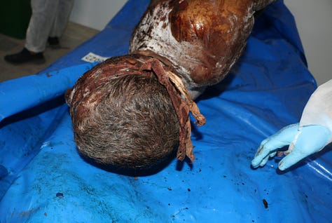 Gaza authorities publish shocking images of Israeli abuse as dozens of unidentified bodies are buried - Palestine Will Be Free