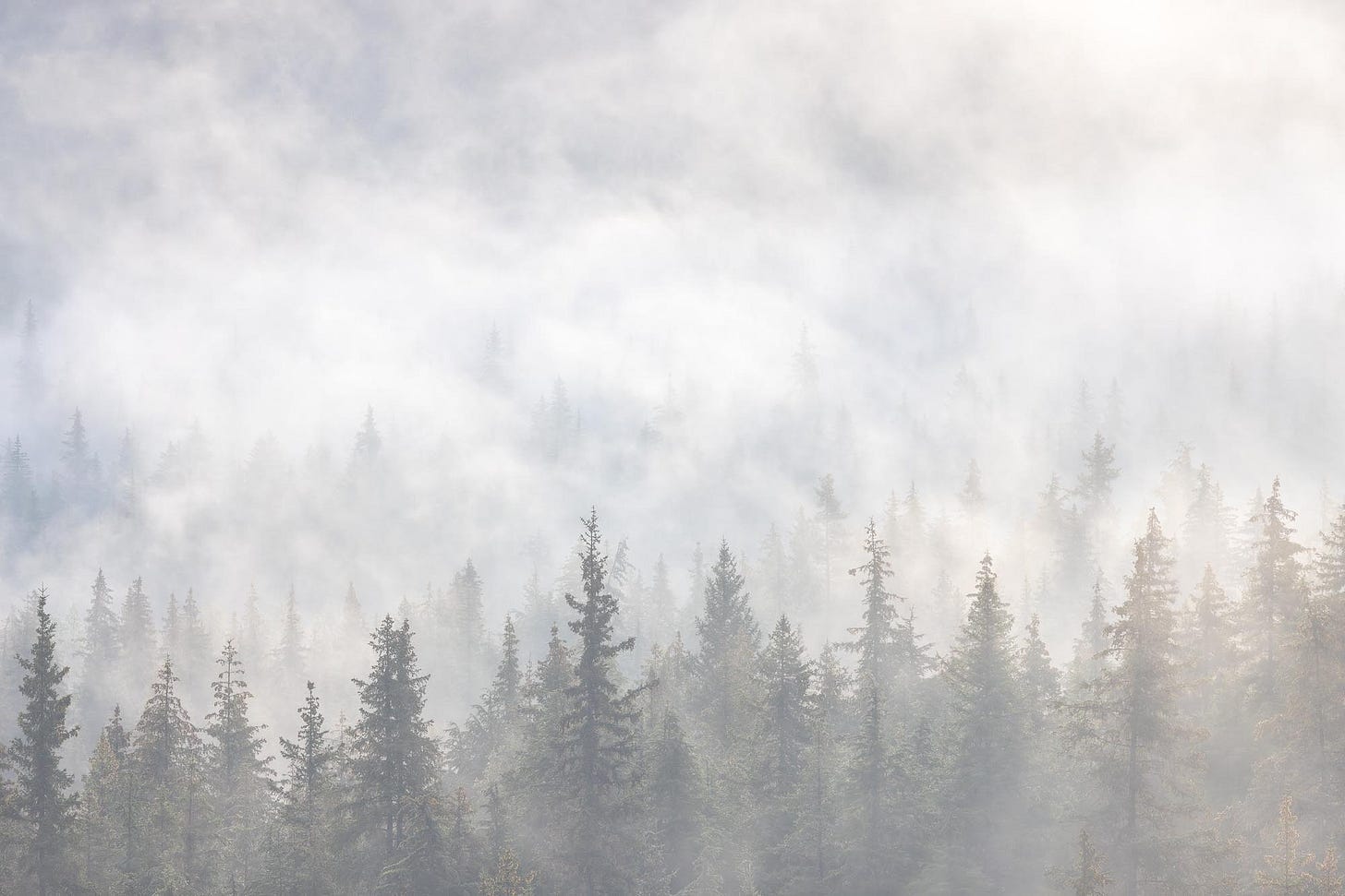 Light Shines Through Morning light shines through thick fog as it clears over Alaska's Chugach Mountains.