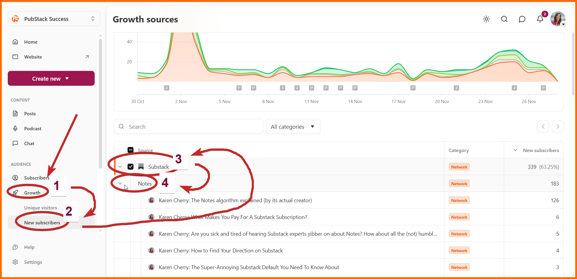 How to Check Your Notes Performance - by Karen Cherry