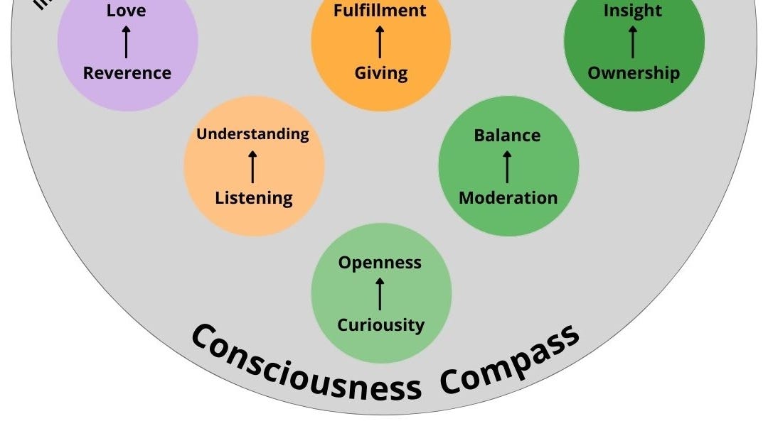 The Consciousness Compass - Nico Cost
