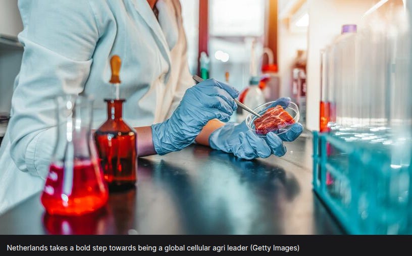Netherlands foodtech scale-up infrastructure supporting plant-based and cellular agriculture