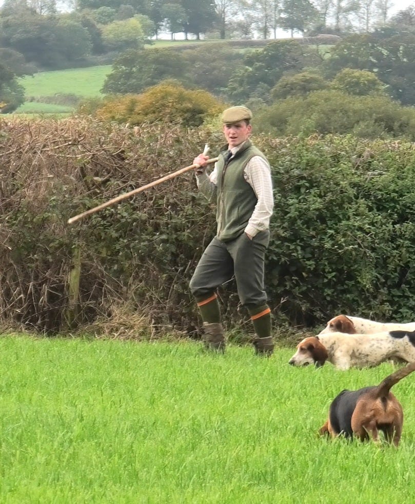 Dorset and Somerset Bassets' huntsman, Charlie Ford Dorset and Somerset Bassets' huntsman, Charlie Ford