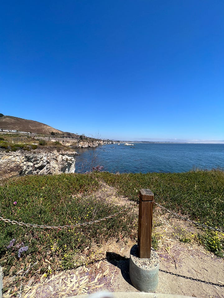 A collection of images from California's central coast, including a view from the Madonna Inn in San Luis Obispo, the seashore, flowers overlooking the water, and a building-sized rock covered with birds.