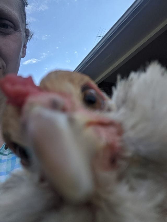 selfie! selfie!
