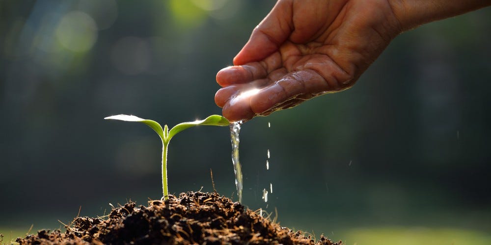 Rethinking Christian Stewardship: An Interview with Tri Robinson by Jim  Pool - Vineyard Justice Network