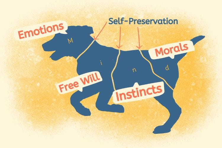 Over-emphasizing Self-preservation Leads to A Fragmented Mind Over-emphasizing Self-preservation Leads to A Fragmented Mind